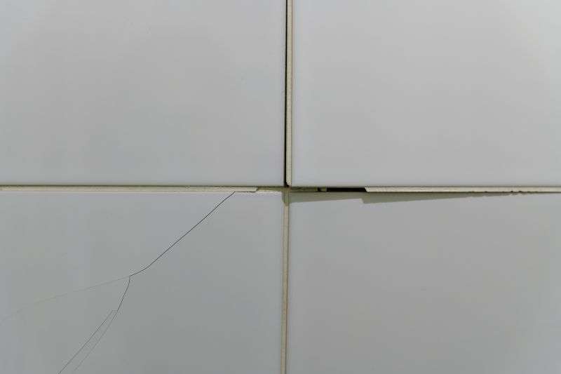 Crack Repair in Tiles